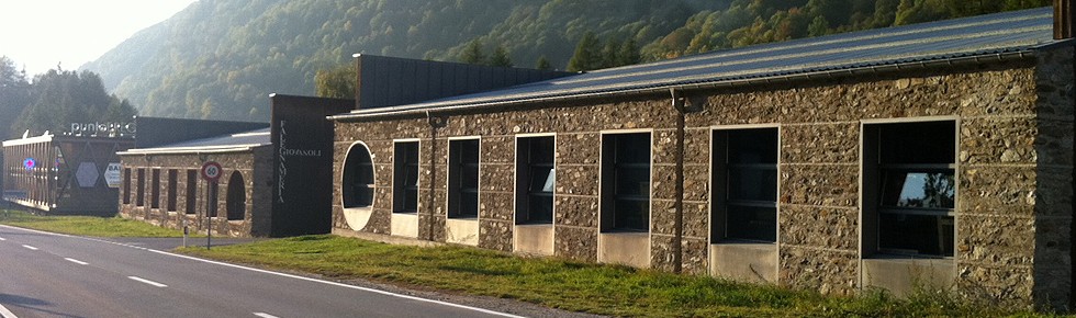 Zona industriale, Vicosoprano